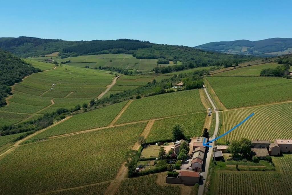 Le Tinailler Grand Standing Au Coeur Des Vignes Villa Prisse Exterior photo