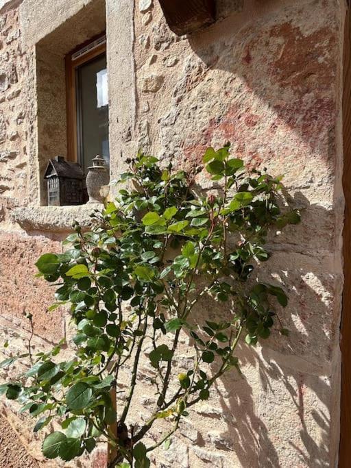 Le Tinailler Grand Standing Au Coeur Des Vignes Villa Prisse Exterior photo