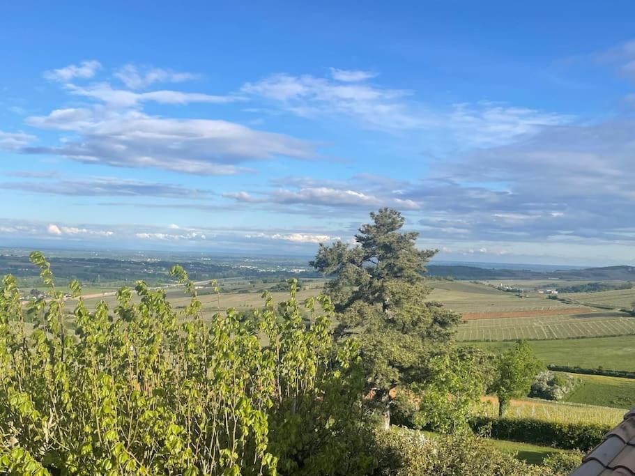 Le Tinailler Grand Standing Au Coeur Des Vignes Villa Prisse Exterior photo