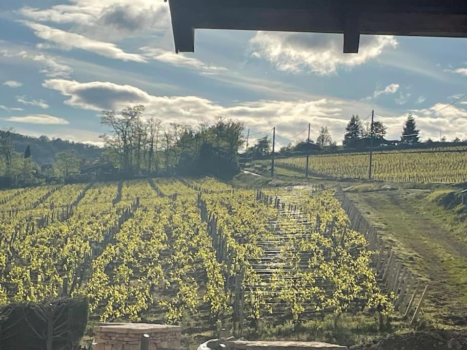 Le Tinailler Grand Standing Au Coeur Des Vignes Villa Prisse Exterior photo