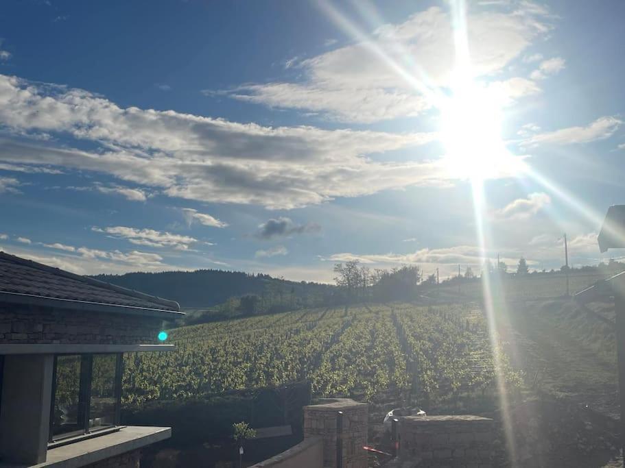 Le Tinailler Grand Standing Au Coeur Des Vignes Villa Prisse Exterior photo